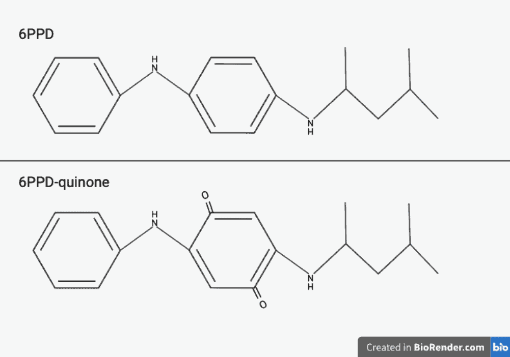 Chemical Structure of 6PPD and 6PPD Quinone