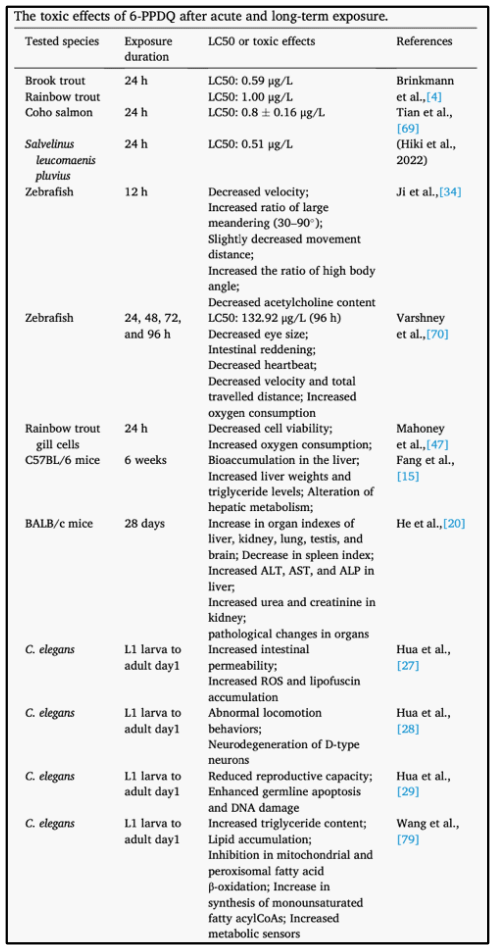 Current range of 6PPD studies