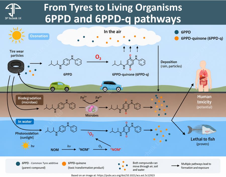 6PPD and 6PPD-q pathways from Tyres to living organisms