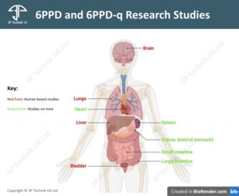 6PPD and 6PPD-q research studies
